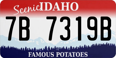 ID license plate 7B7319B