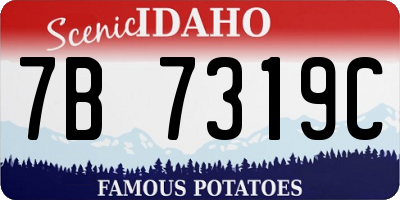 ID license plate 7B7319C