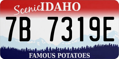ID license plate 7B7319E