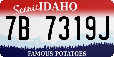 ID license plate 7B7319J