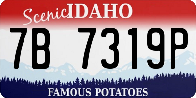 ID license plate 7B7319P