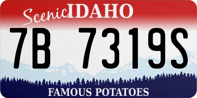 ID license plate 7B7319S