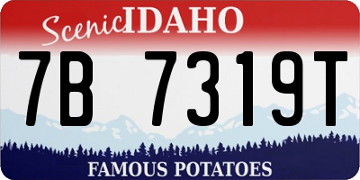 ID license plate 7B7319T