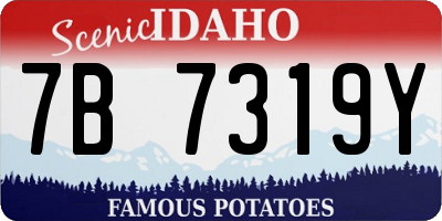 ID license plate 7B7319Y