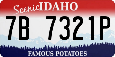 ID license plate 7B7321P