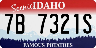 ID license plate 7B7321S