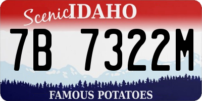 ID license plate 7B7322M