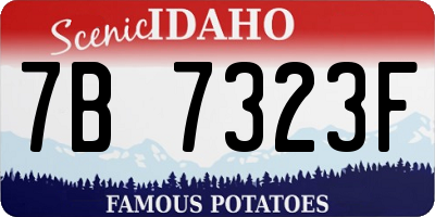 ID license plate 7B7323F