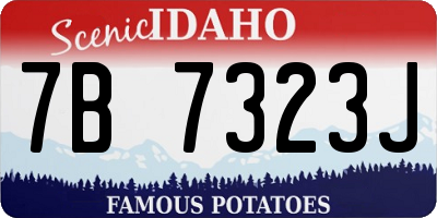 ID license plate 7B7323J