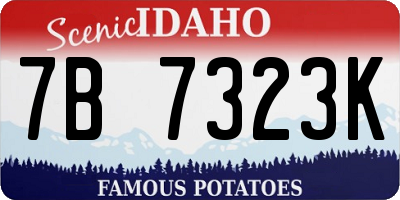 ID license plate 7B7323K