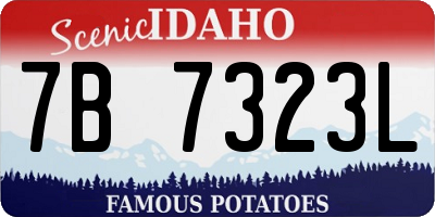 ID license plate 7B7323L