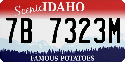 ID license plate 7B7323M