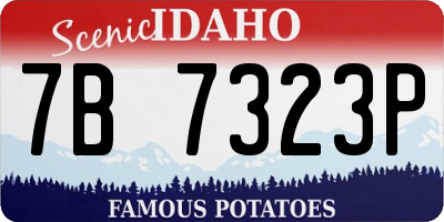 ID license plate 7B7323P