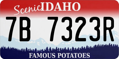 ID license plate 7B7323R
