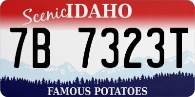ID license plate 7B7323T