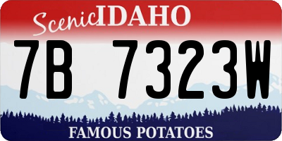 ID license plate 7B7323W