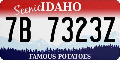 ID license plate 7B7323Z