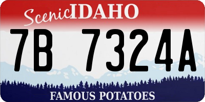ID license plate 7B7324A