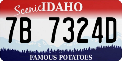 ID license plate 7B7324D