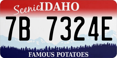 ID license plate 7B7324E