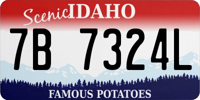 ID license plate 7B7324L