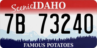 ID license plate 7B7324O