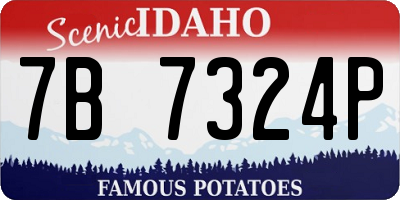 ID license plate 7B7324P