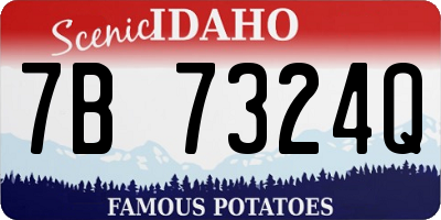 ID license plate 7B7324Q