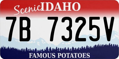 ID license plate 7B7325V