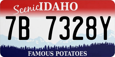 ID license plate 7B7328Y