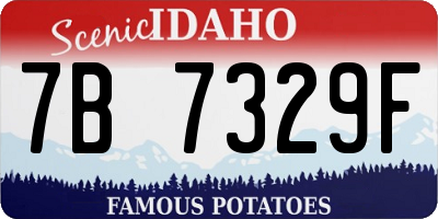 ID license plate 7B7329F