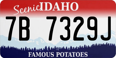 ID license plate 7B7329J
