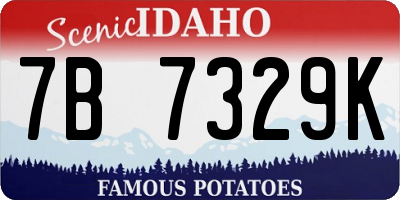 ID license plate 7B7329K