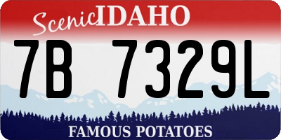ID license plate 7B7329L