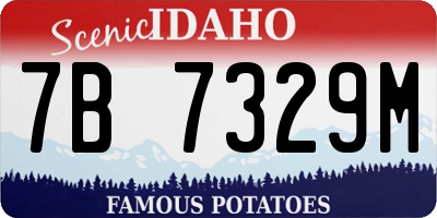 ID license plate 7B7329M