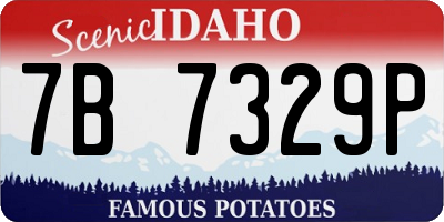 ID license plate 7B7329P