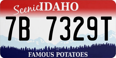 ID license plate 7B7329T