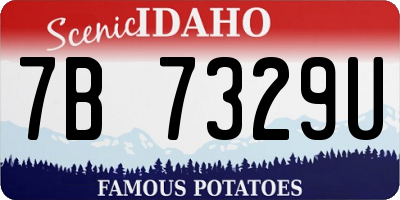 ID license plate 7B7329U