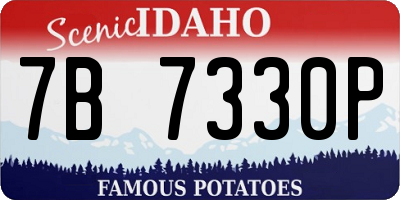 ID license plate 7B7330P