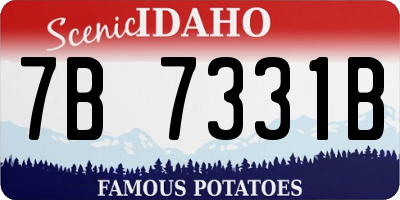 ID license plate 7B7331B