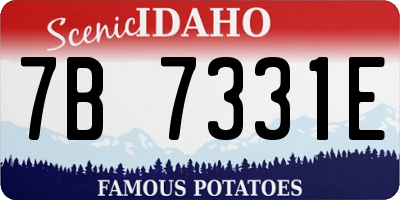 ID license plate 7B7331E