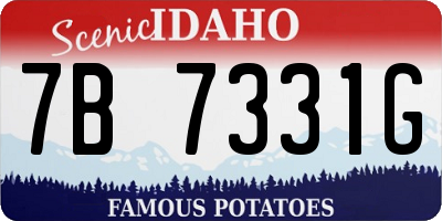 ID license plate 7B7331G