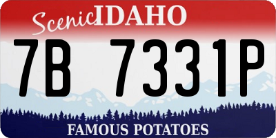 ID license plate 7B7331P