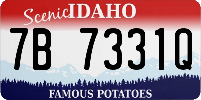 ID license plate 7B7331Q