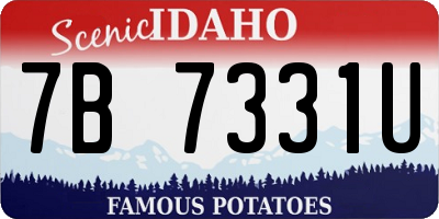 ID license plate 7B7331U