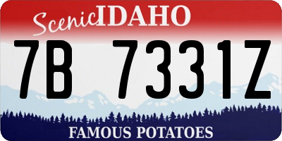 ID license plate 7B7331Z