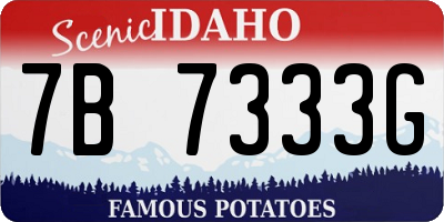 ID license plate 7B7333G