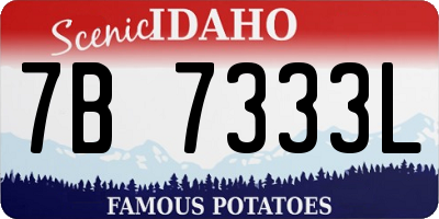 ID license plate 7B7333L