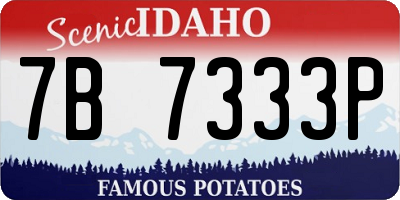 ID license plate 7B7333P