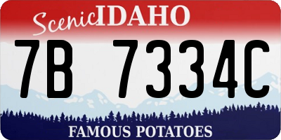 ID license plate 7B7334C